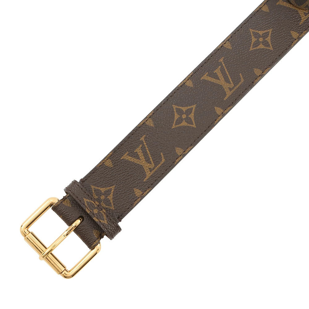 Louis Vuitton Monogram Pouch Clutch Ceinture Pochette Duo Belt Case - Picture 5 of 11
